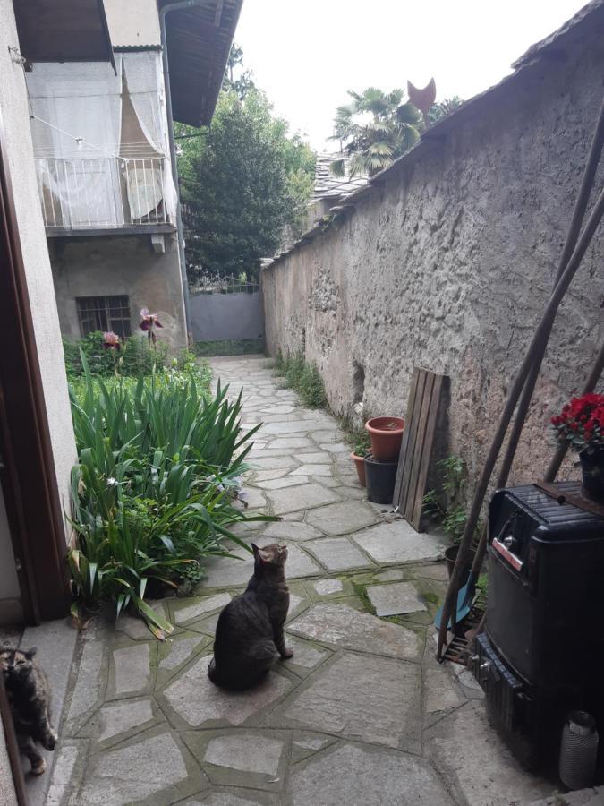 La Marmotta Otel Luserna San Giovanni Dış mekan fotoğraf
